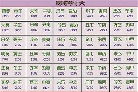 2023 年五行